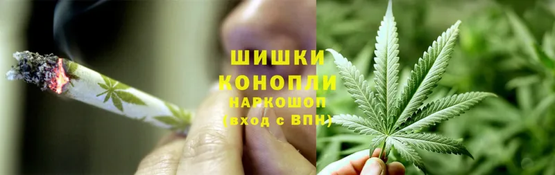 hydra рабочий сайт  купить закладку  Тарко-Сале  Шишки марихуана White Widow 